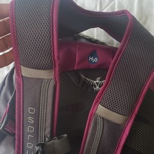 Osprey Daylite water & travel bag